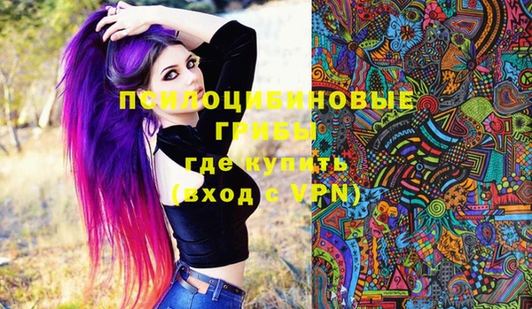 а пвп мука Гусев