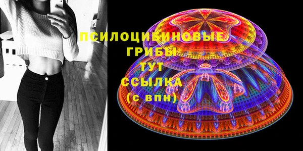 а пвп мука Гусев