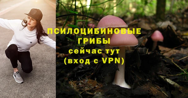 марки lsd Гусиноозёрск