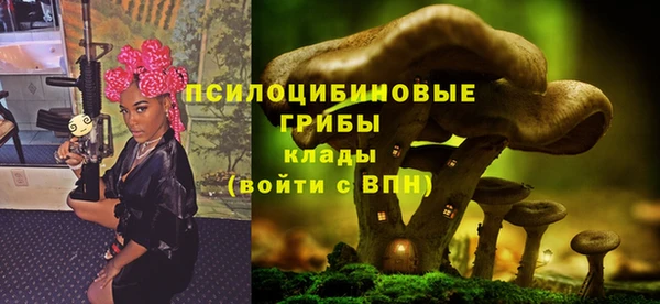 марки lsd Гусиноозёрск