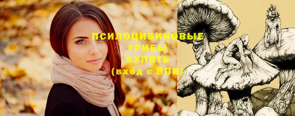 МДПВ Гусь-Хрустальный