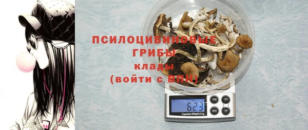 МДПВ Гусь-Хрустальный