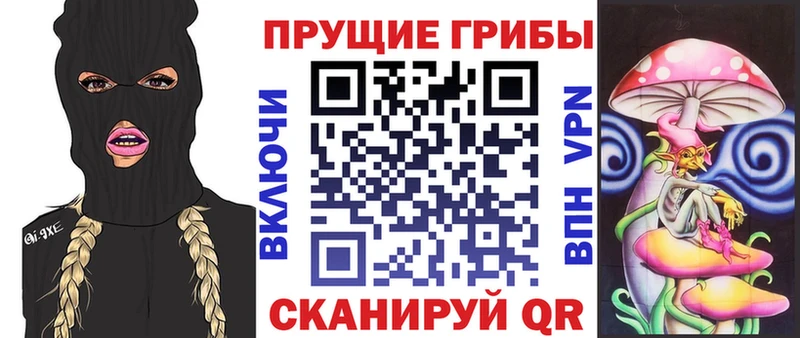 Галлюциногенные грибы мицелий  Купить где  Якутск 